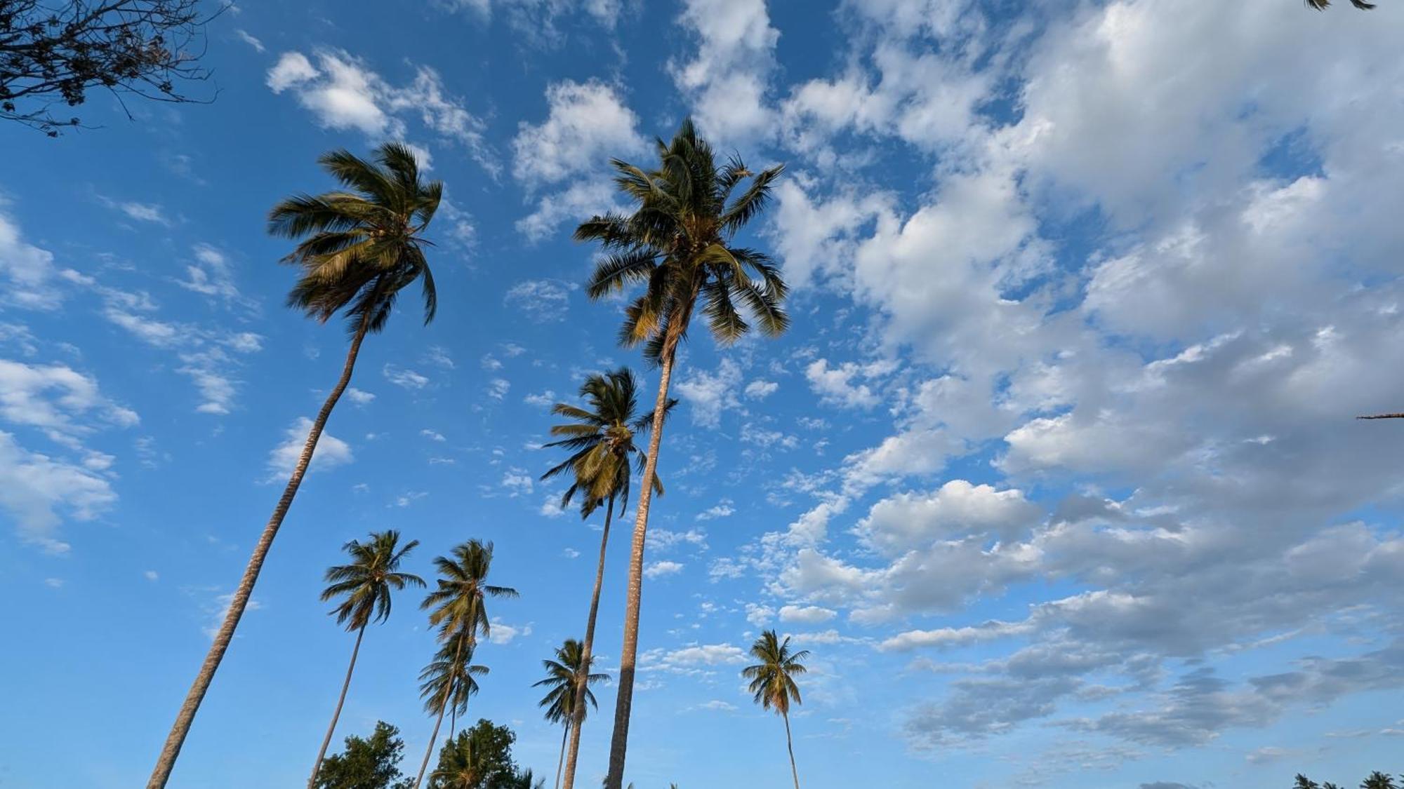 Villa Adelina Zanzibar Luaran gambar